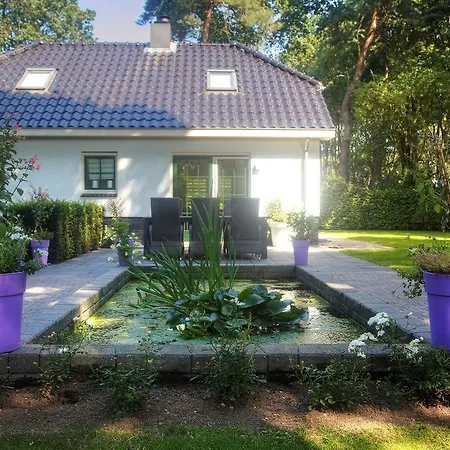 Landgoed De Scheleberg 假日公园 卢特伦